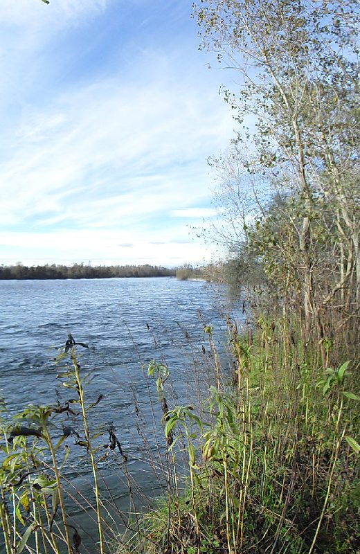 Parco del ticino 1.11.12